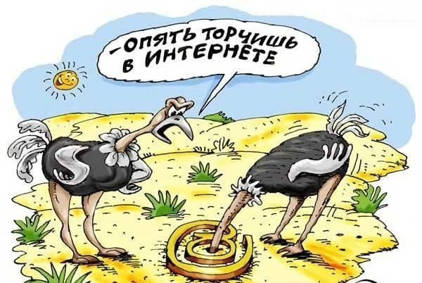 Александр Морозов