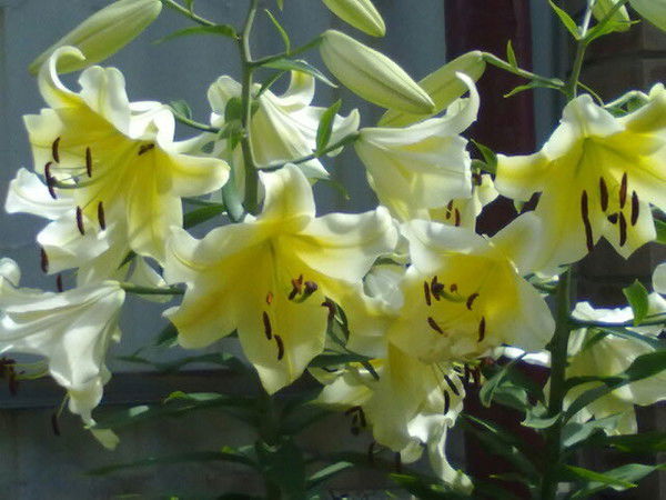 Татьяна Ипатова