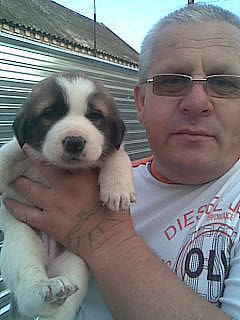 Алексей Парахин