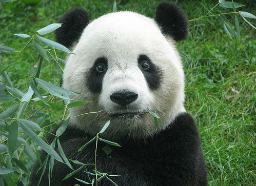 Андрей И Марина