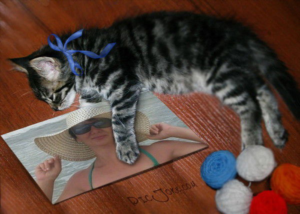 Ирина Баталова