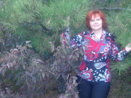 Елена Гелиотроп