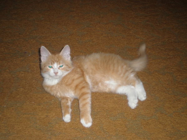 Ирина Малюга