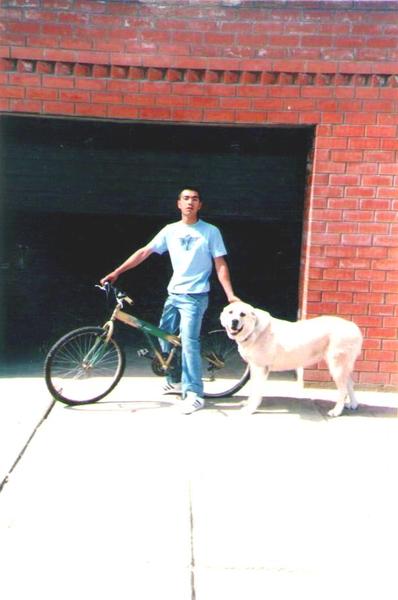 Shomansur Fazliddinov