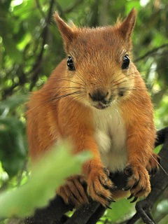 Марина Пазюк