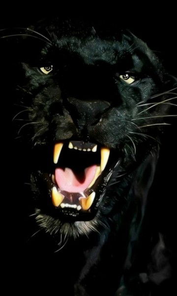 Татьяна Литвиненко