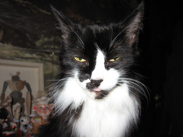 Никита Шилов