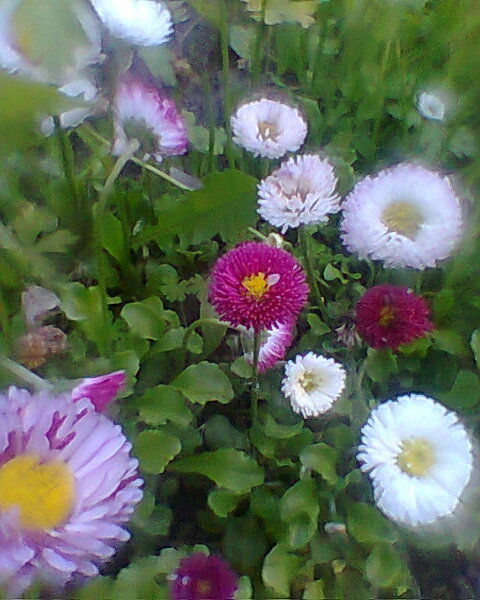 Леонид Пономарев