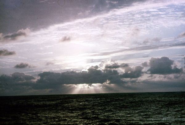 Алексей Лазунин