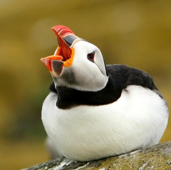 Алехандро Казихо