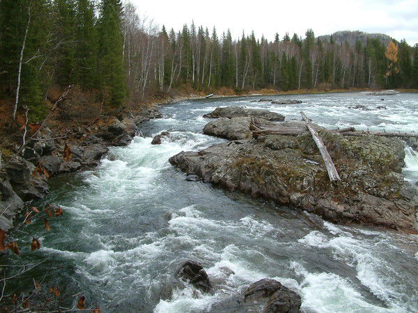 Екатерина Иванова