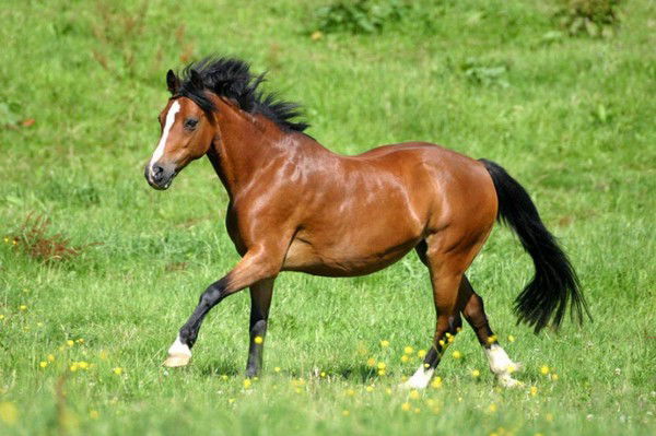 Амирхан Сабиров