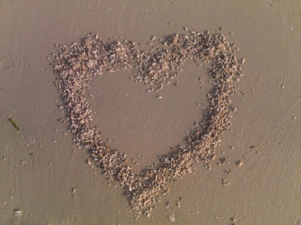 Галина Федосеева