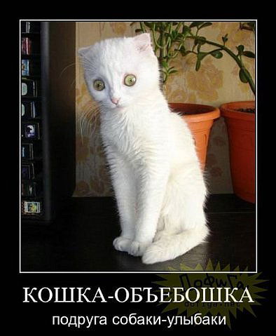 Василий Ярославцев