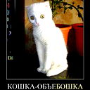 Василий Ярославцев
