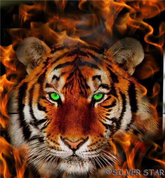 Виталий Баулин