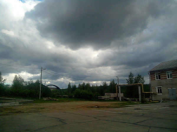 Алексей Кучерявый