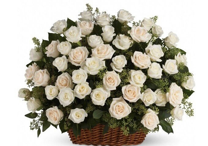 Алекса Ааааа