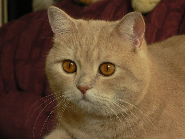 ...арина... @@@