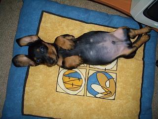 Ольга Воронова