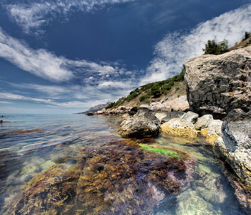 Венера Жаныбековна