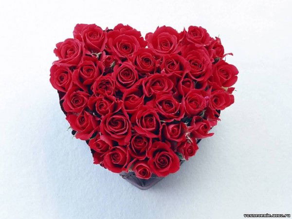 Самая Агаева