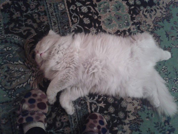 Айдос Нурланов