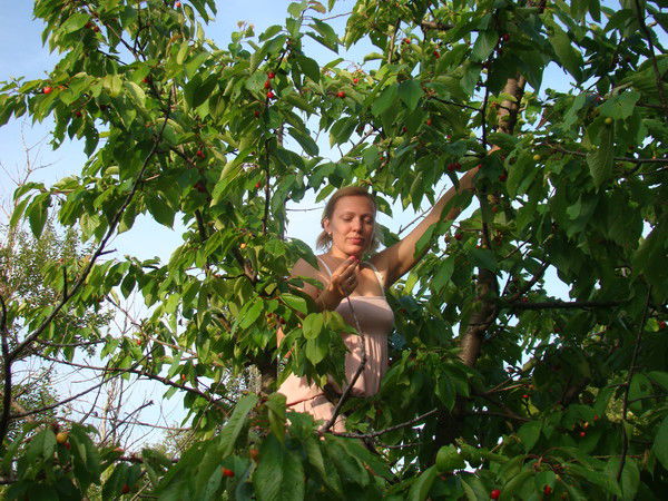 Неизвестно Неизвестно