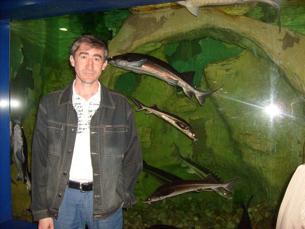 Андрей Никиша