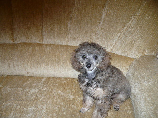 Людмила Рапенок