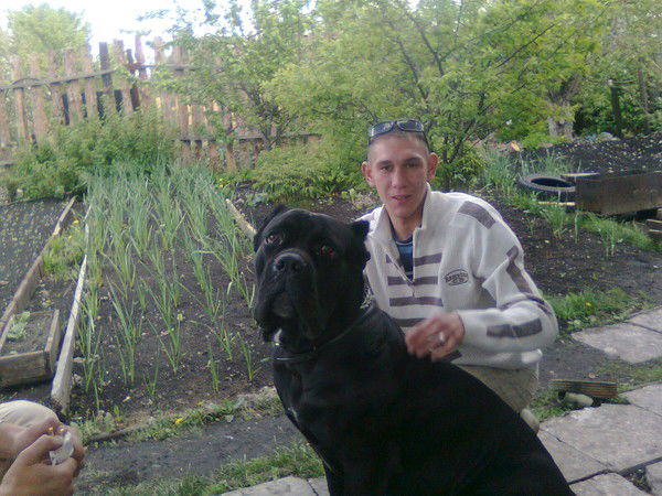 Годованчук Александр