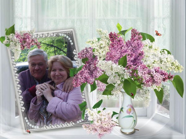 Елена Никулина