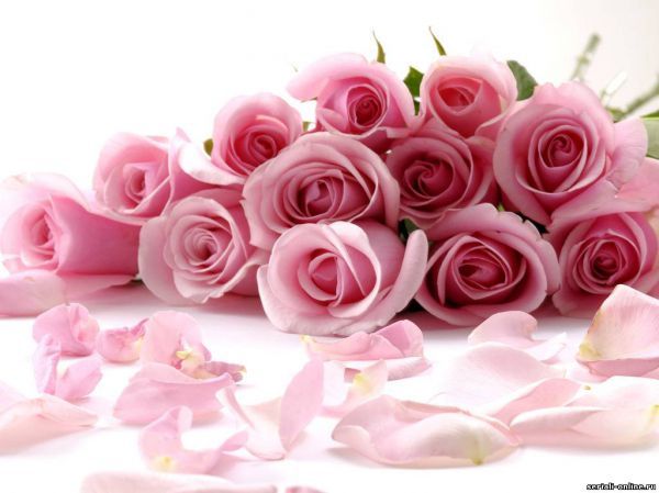 Марина Степанова