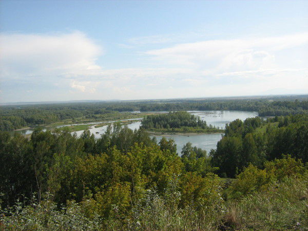 Сергей Куровский