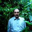 Tomas Serg
