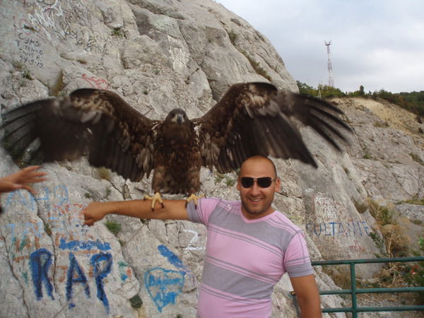 Александр Плохотник