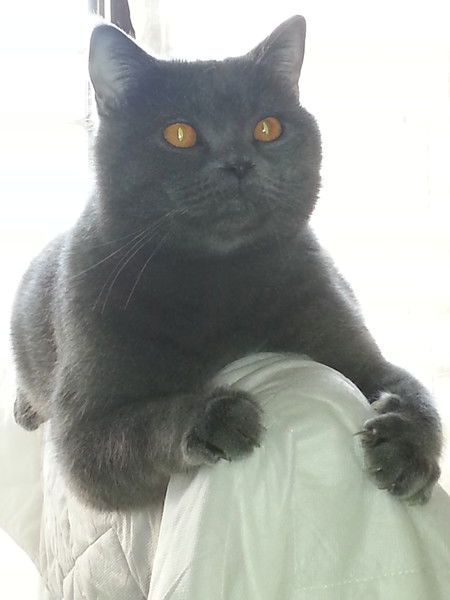 Игорь Гульченко