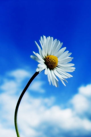 Мария Плотникова