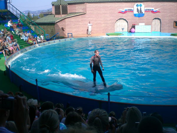 Светлана Белова