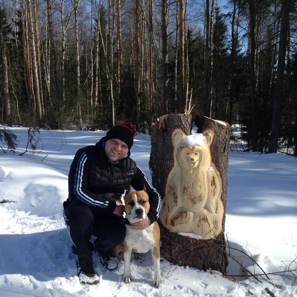 Владимир Симаненков