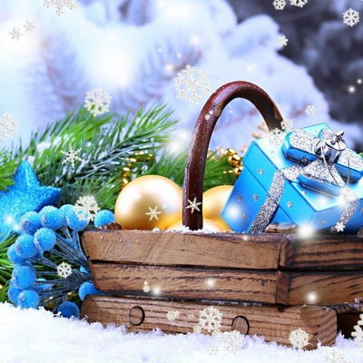 Наталия Алексеева