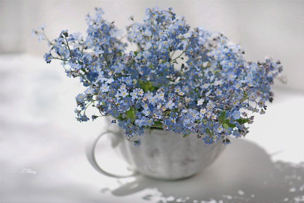 Анна Коженкова