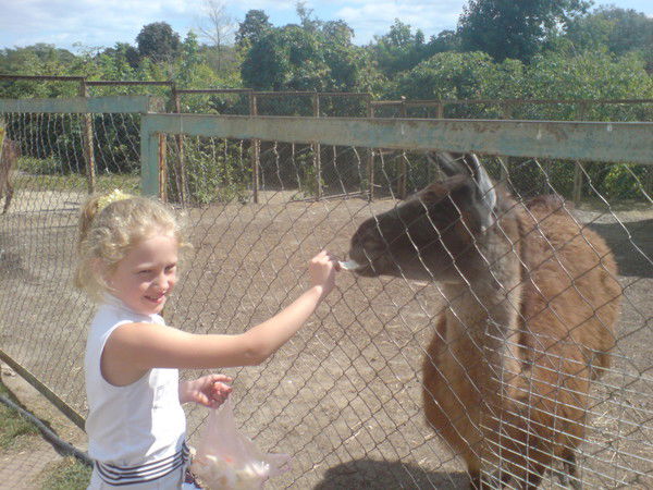 Катя Бублий