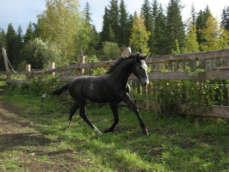 Семёнова Люся