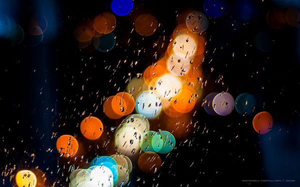 Ксения Потапова