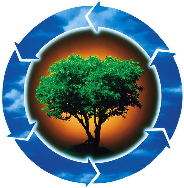 Андрей Калинин