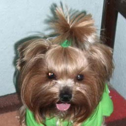 Олег Храмов