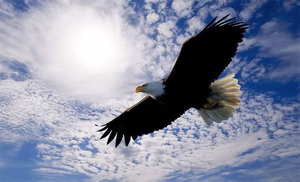 Амантаева Дильназ