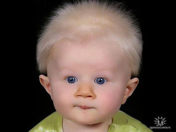 Георгий Вилков