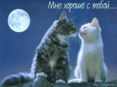 Жанна Аюпова